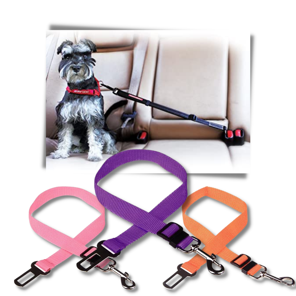 Ceinture de sécurité réglable pour chiens en voiture