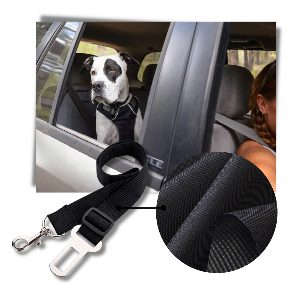 Ceinture de sécurité réglable pour chiens en voiture