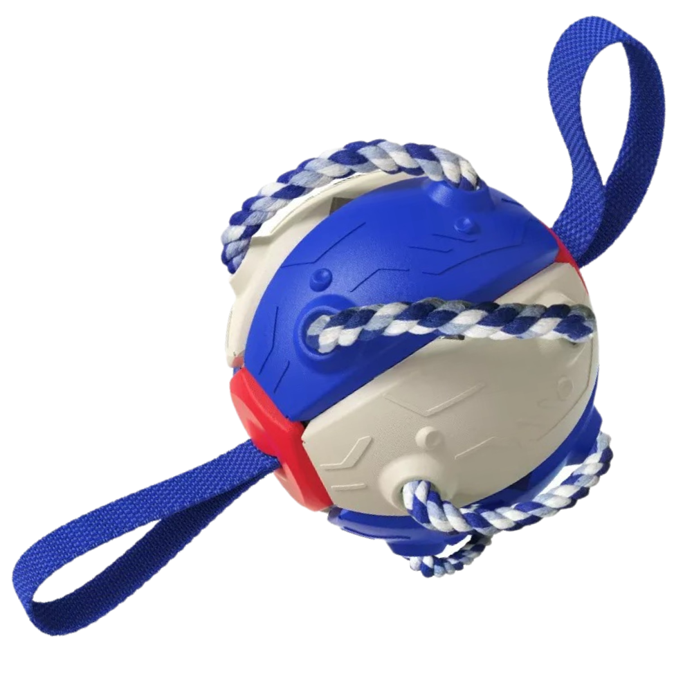 Ballon de frisbee pour chien