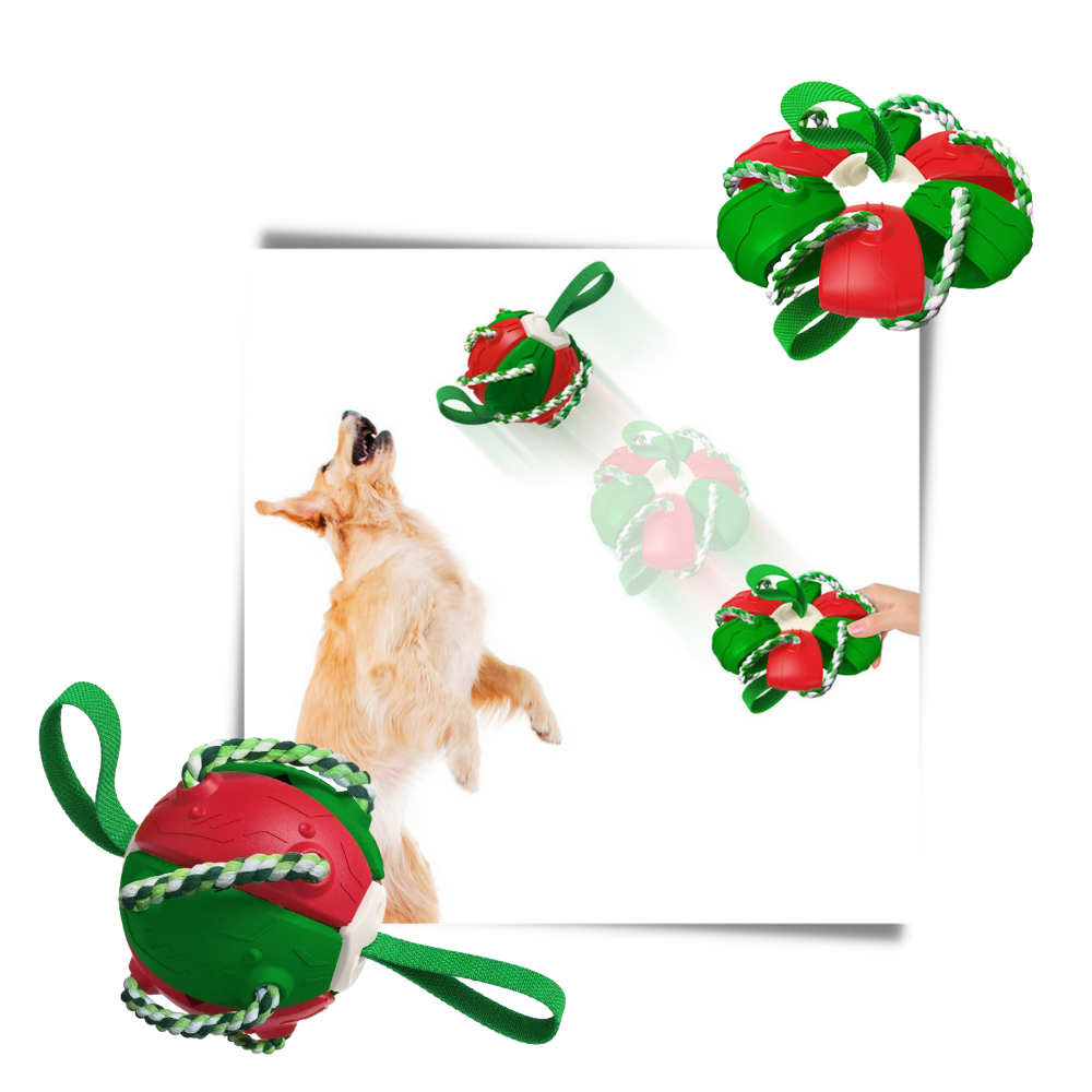 Ballon de frisbee pour chien