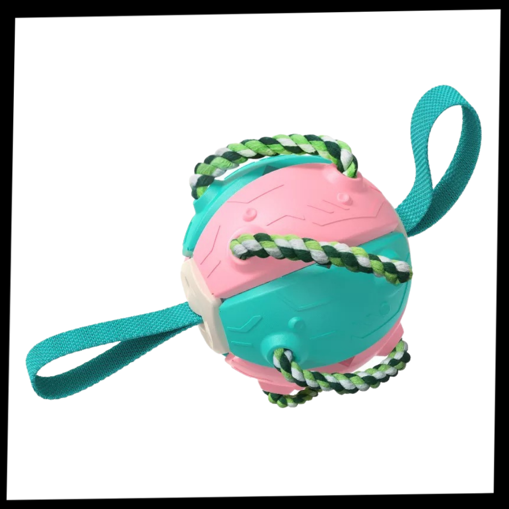 Ballon de frisbee pour chien