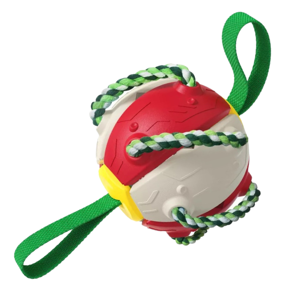 Ballon de frisbee pour chien