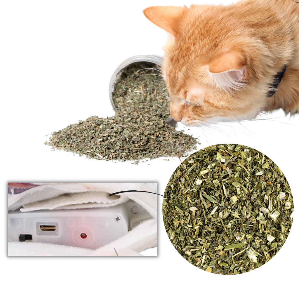 Jouet poisson pour chat