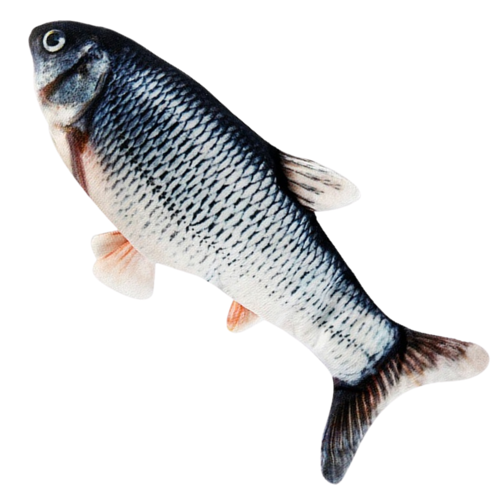 Jouet poisson pour chat