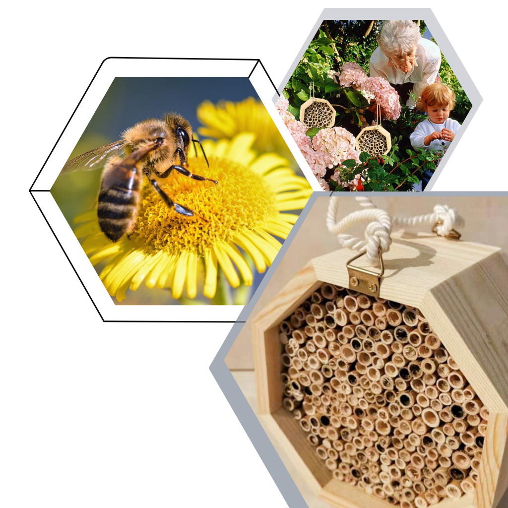 Maison en bois hexagonale pour abeilles