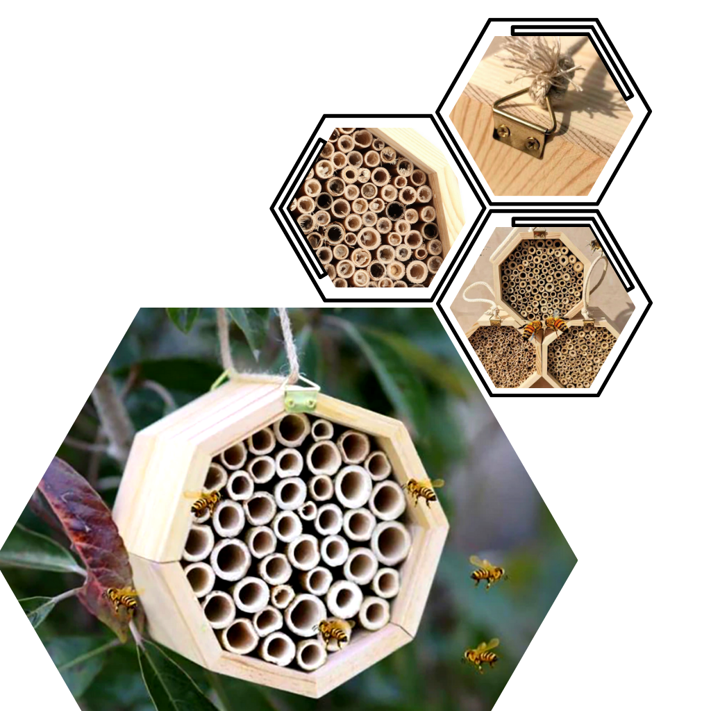 Maison en bois hexagonale pour abeilles