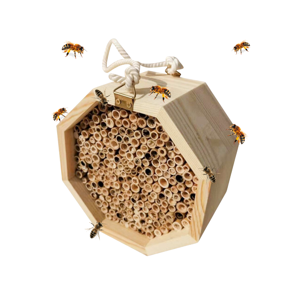 Maison en bois hexagonale pour abeilles