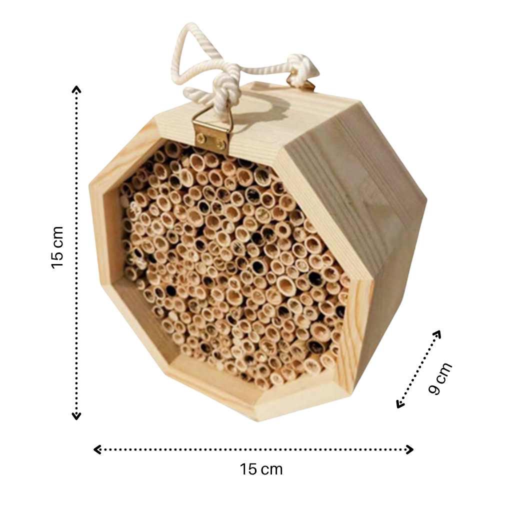 Maison en bois hexagonale pour abeilles