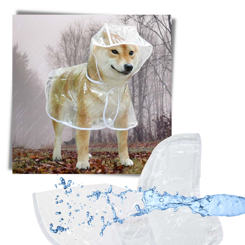 Imperméable à capuche pour chiens