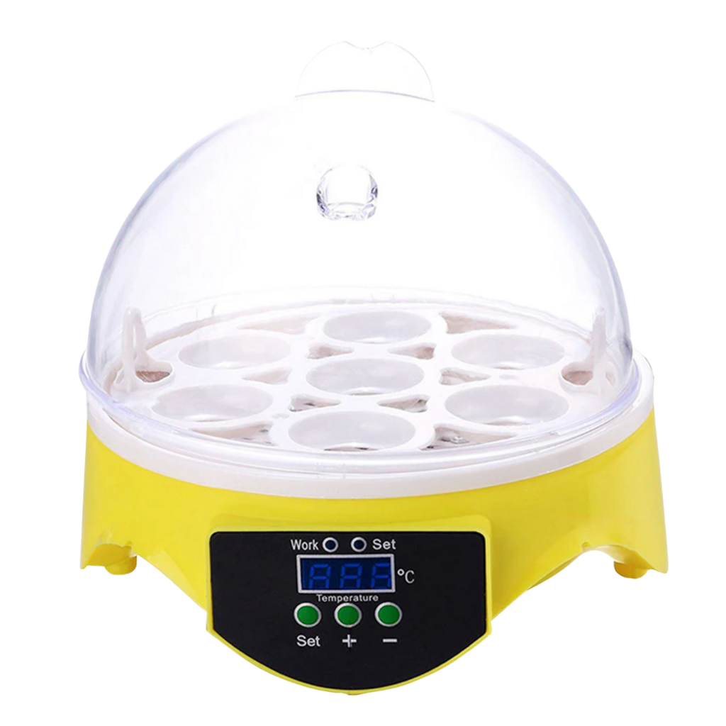 Mini incubateur automatique d'oeufs