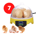 Mini incubateur automatique d'oeufs