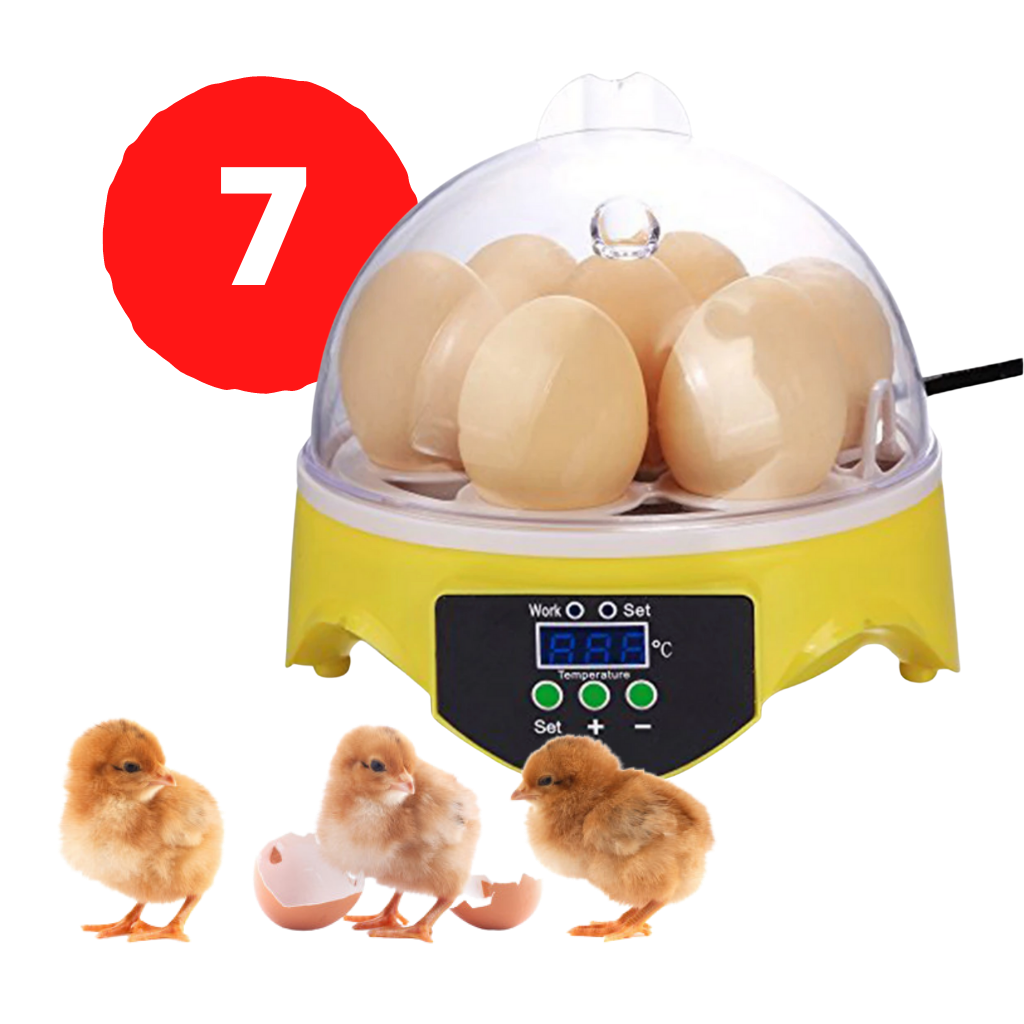 Mini incubateur automatique d'oeufs