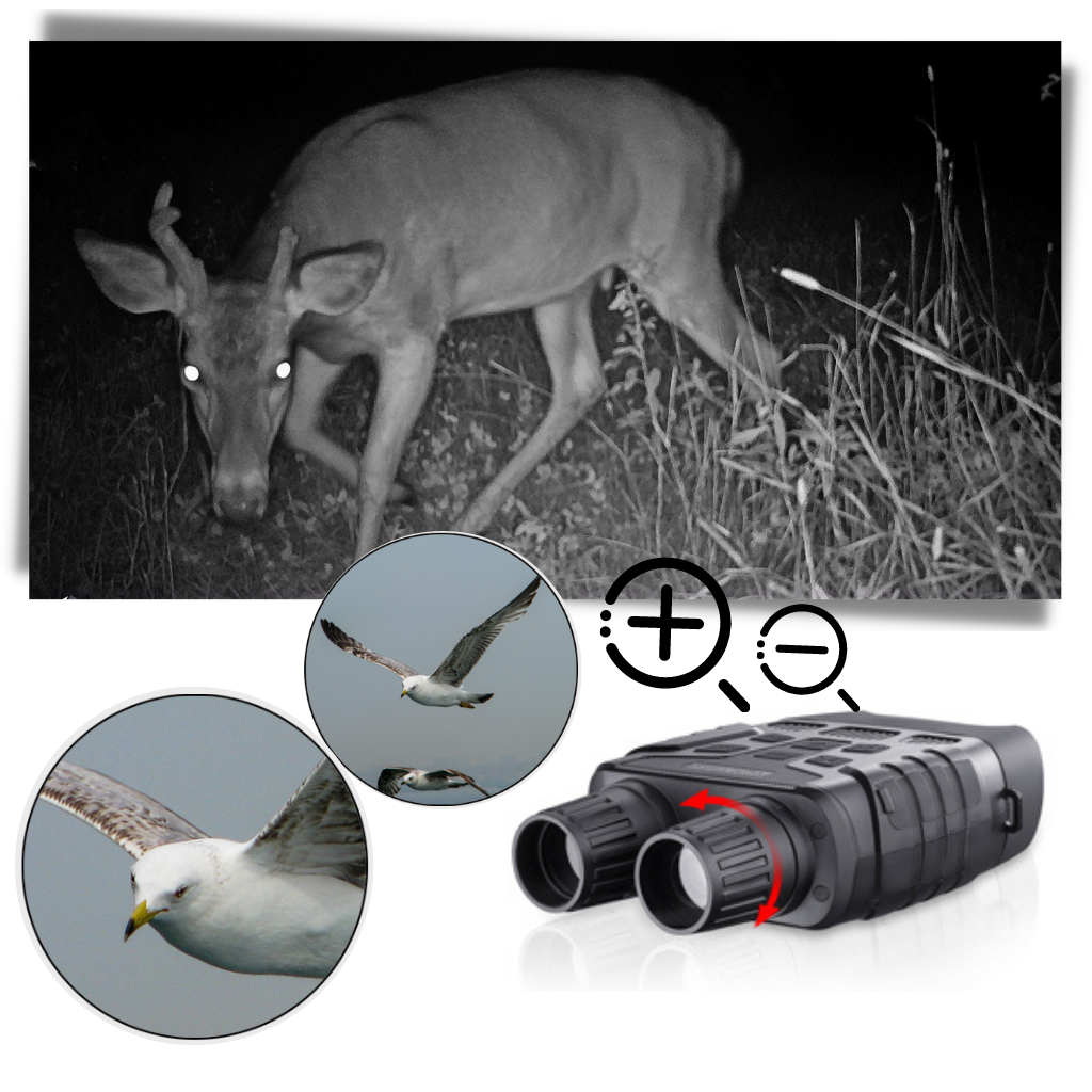Jumelles de vision nocturne