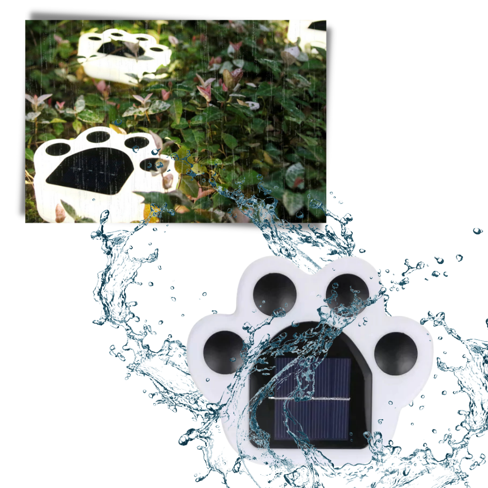 Lumière de chemin en forme d'empreinte de patte à énergie solaire