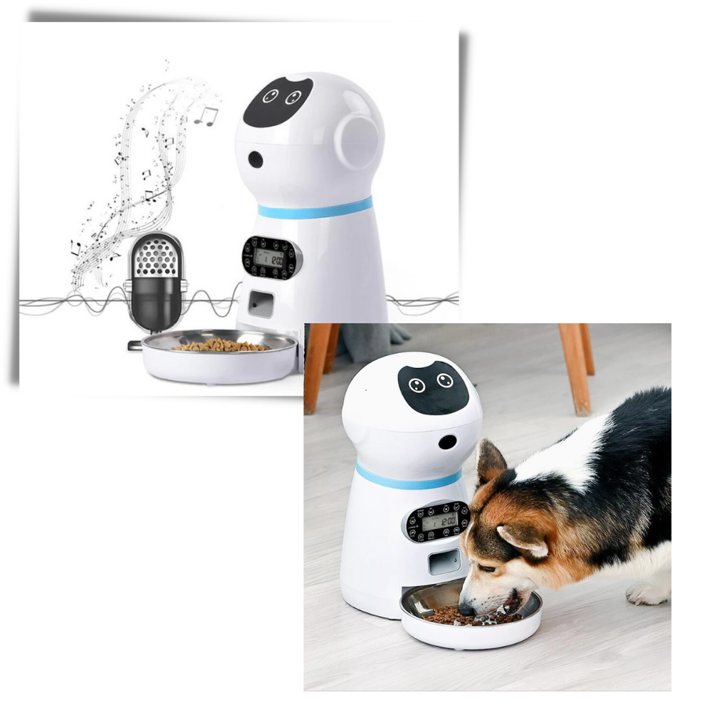 Distributeur automatique de nourriture pour animaux de compagnie