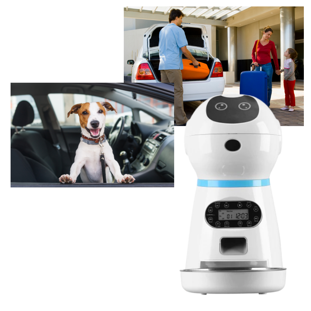 Distributeur automatique de nourriture pour animaux de compagnie