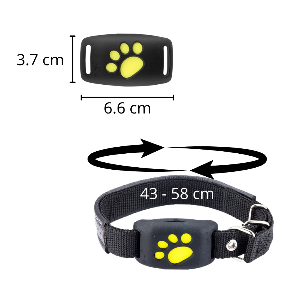 Collier de repérage GPS pour animaux de compagnie