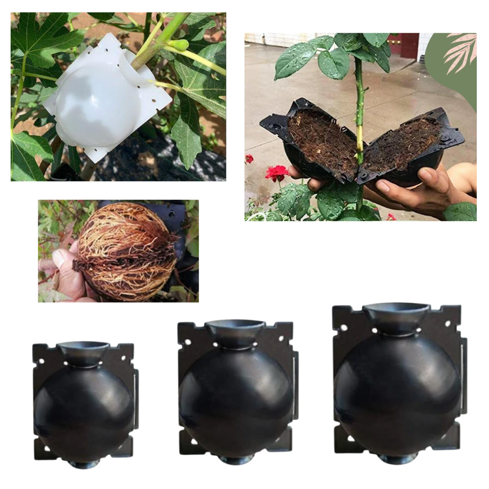 Lot de 3 boîtes à plantes pour la stratification de l'air