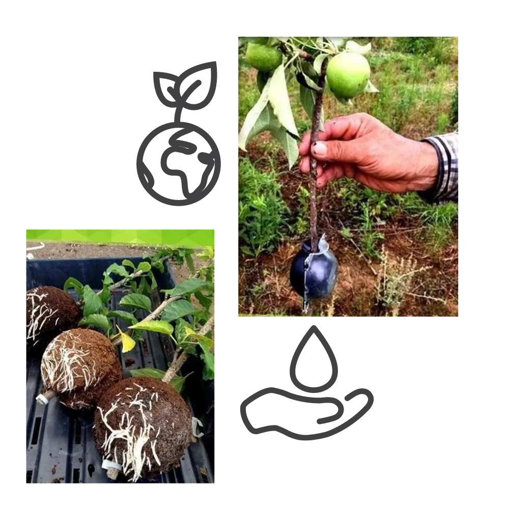 Lot de 3 boîtes à plantes pour la stratification de l'air