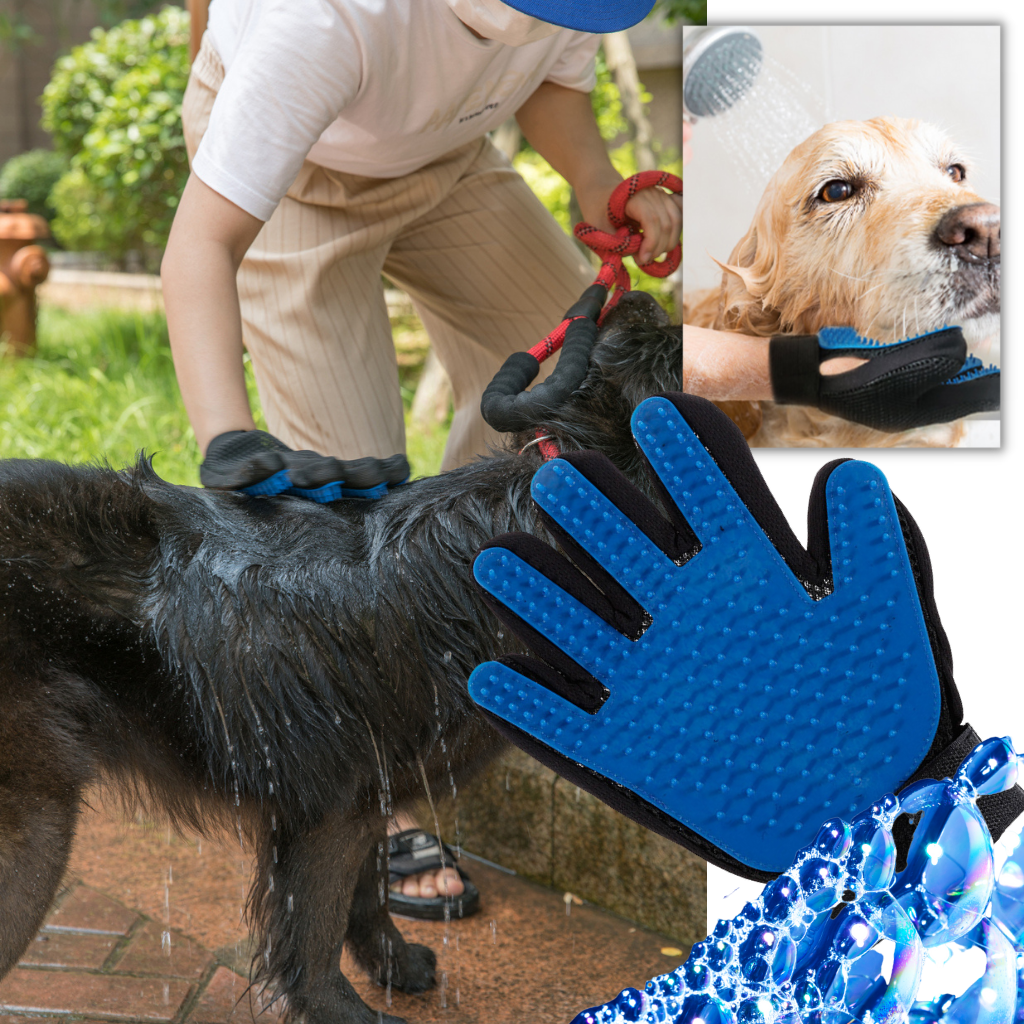Gants de toilettage pour animaux (paire)