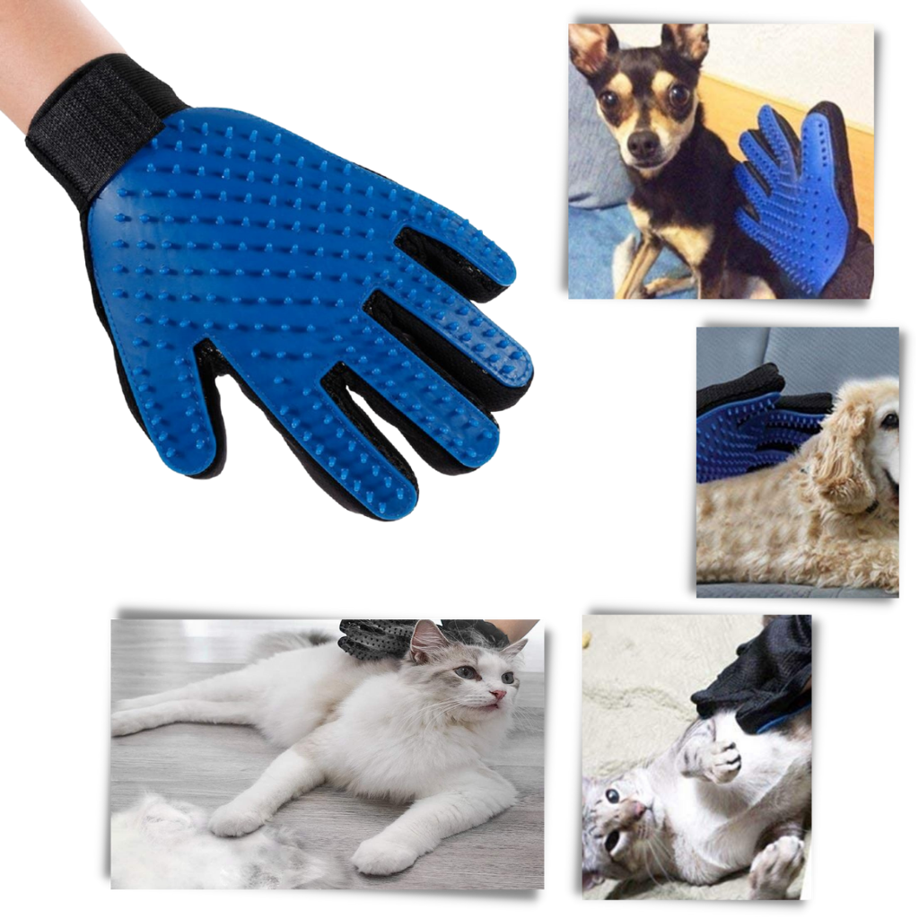 Gants de toilettage pour animaux (paire)