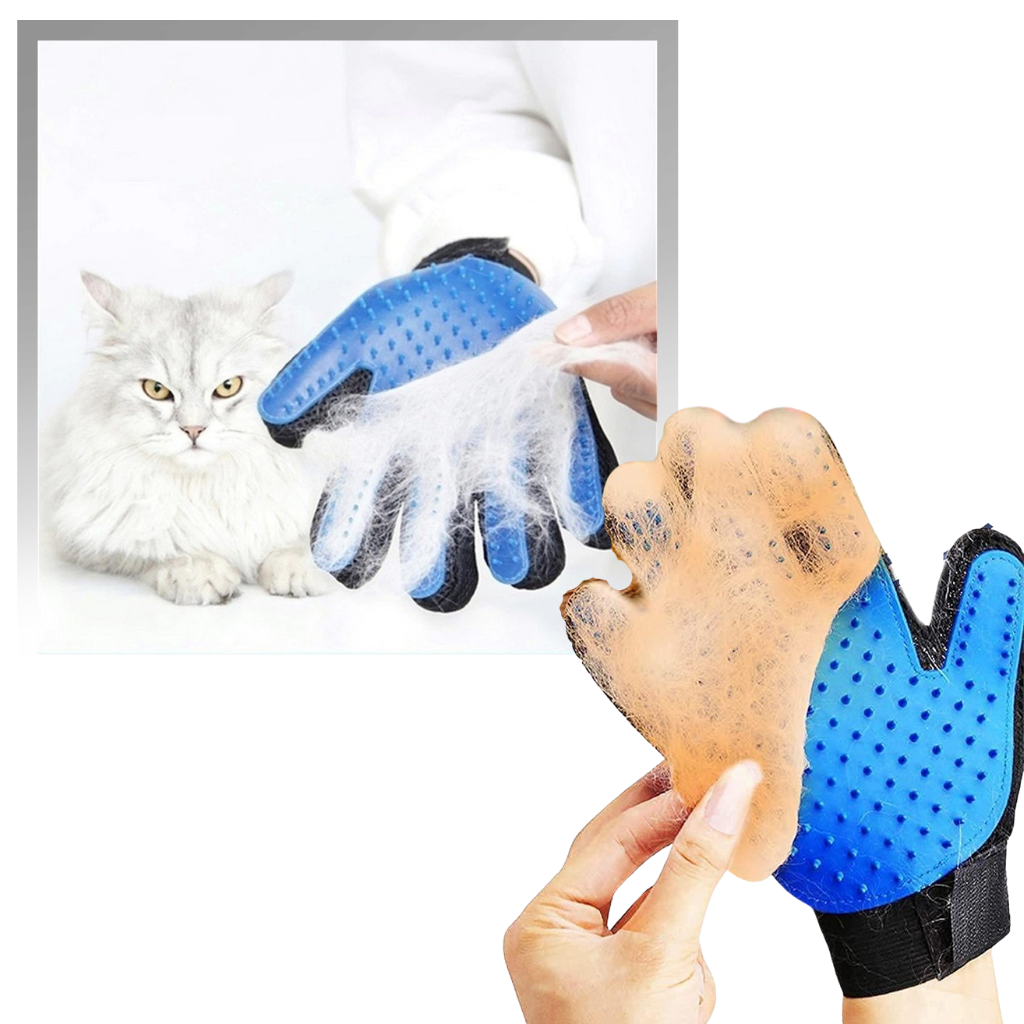 Gants de toilettage pour animaux (paire)