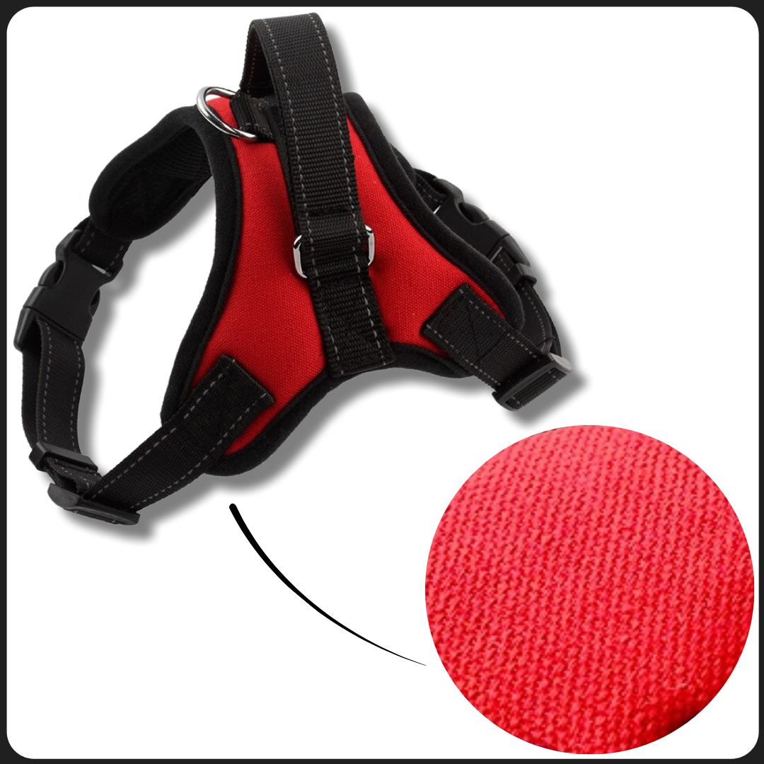 Harnais réglable avec bande réfléchissante pour chien