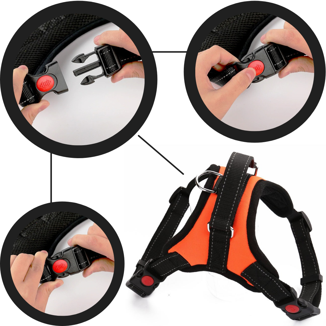 Harnais réglable avec bande réfléchissante pour chien