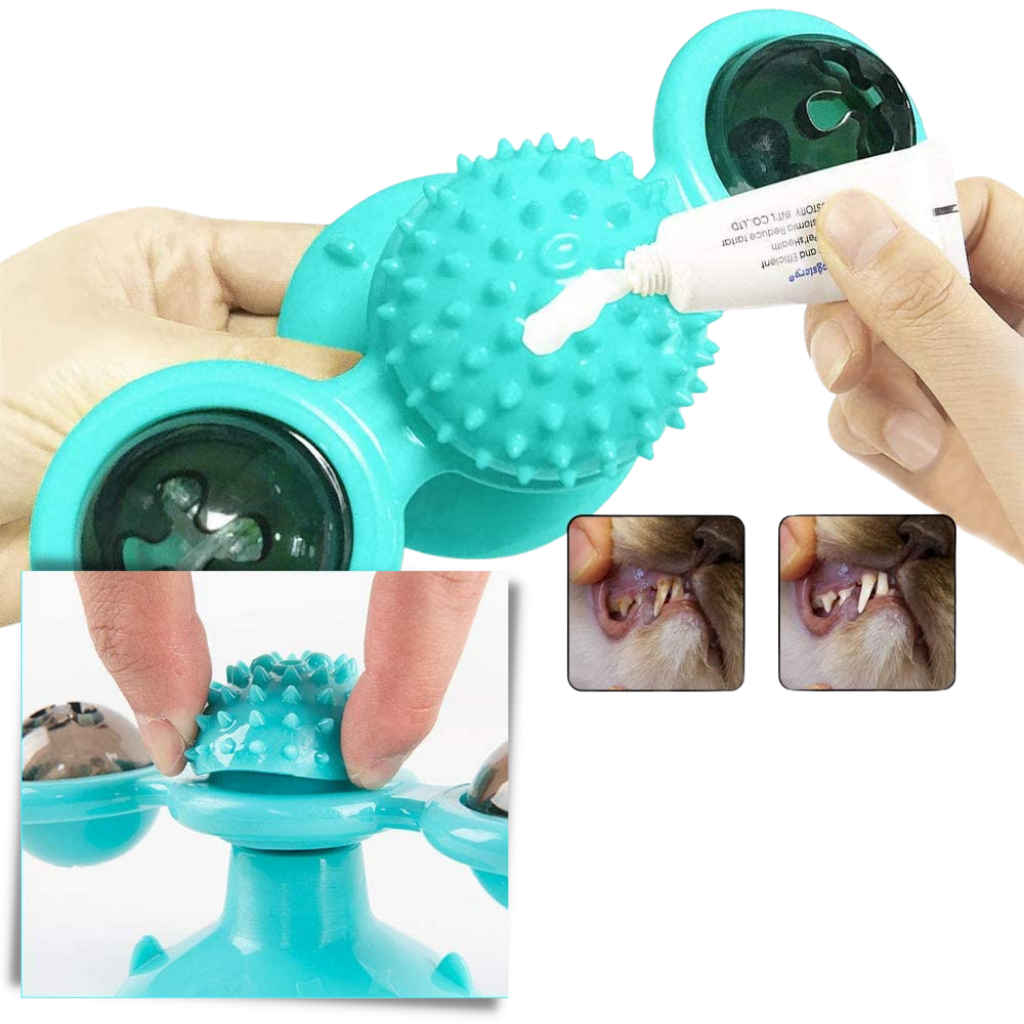 Jouet pour chat "moulin à vent rotatif" avec brosse