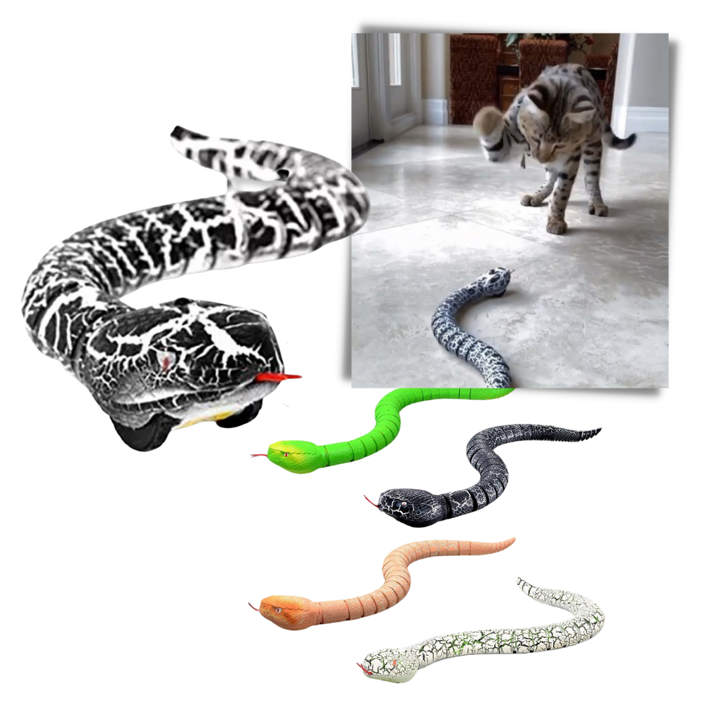 Jouet serpent interactif télécommandé pour chat