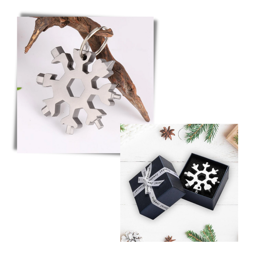 Outil Flocon de neige multifonctionnel 18-en-1 en acier inoxydable