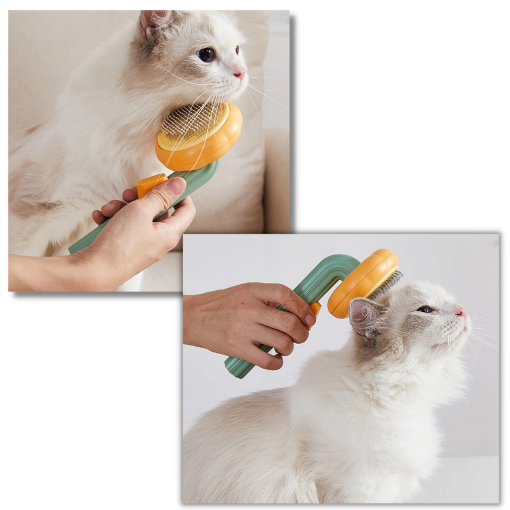 Brosse autonettoyante pour animaux de compagnie