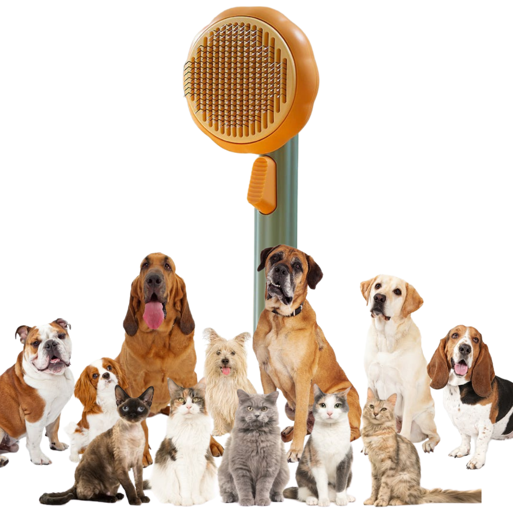 Brosse autonettoyante pour animaux de compagnie
