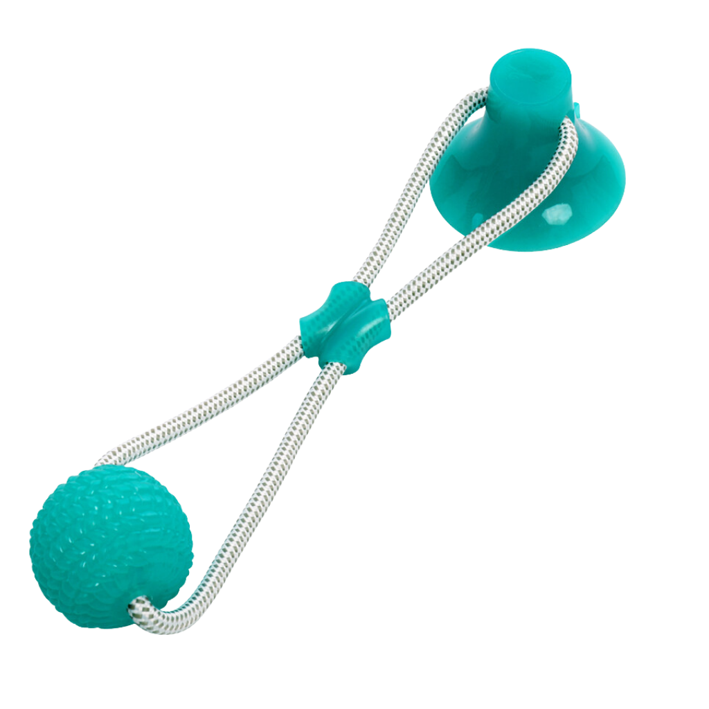 Balle avec ventouse pour chien