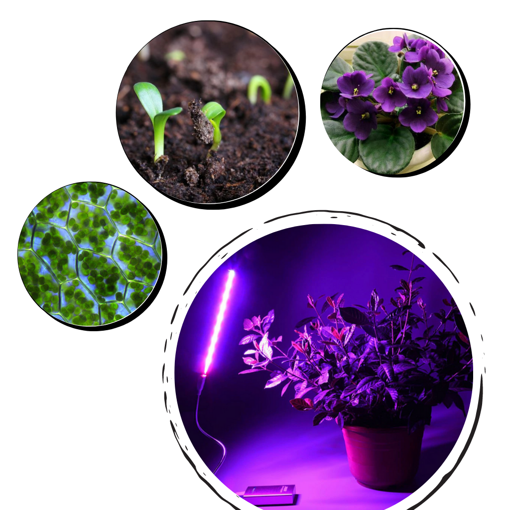 Lampe LED USB horticole de croissance pour plantes