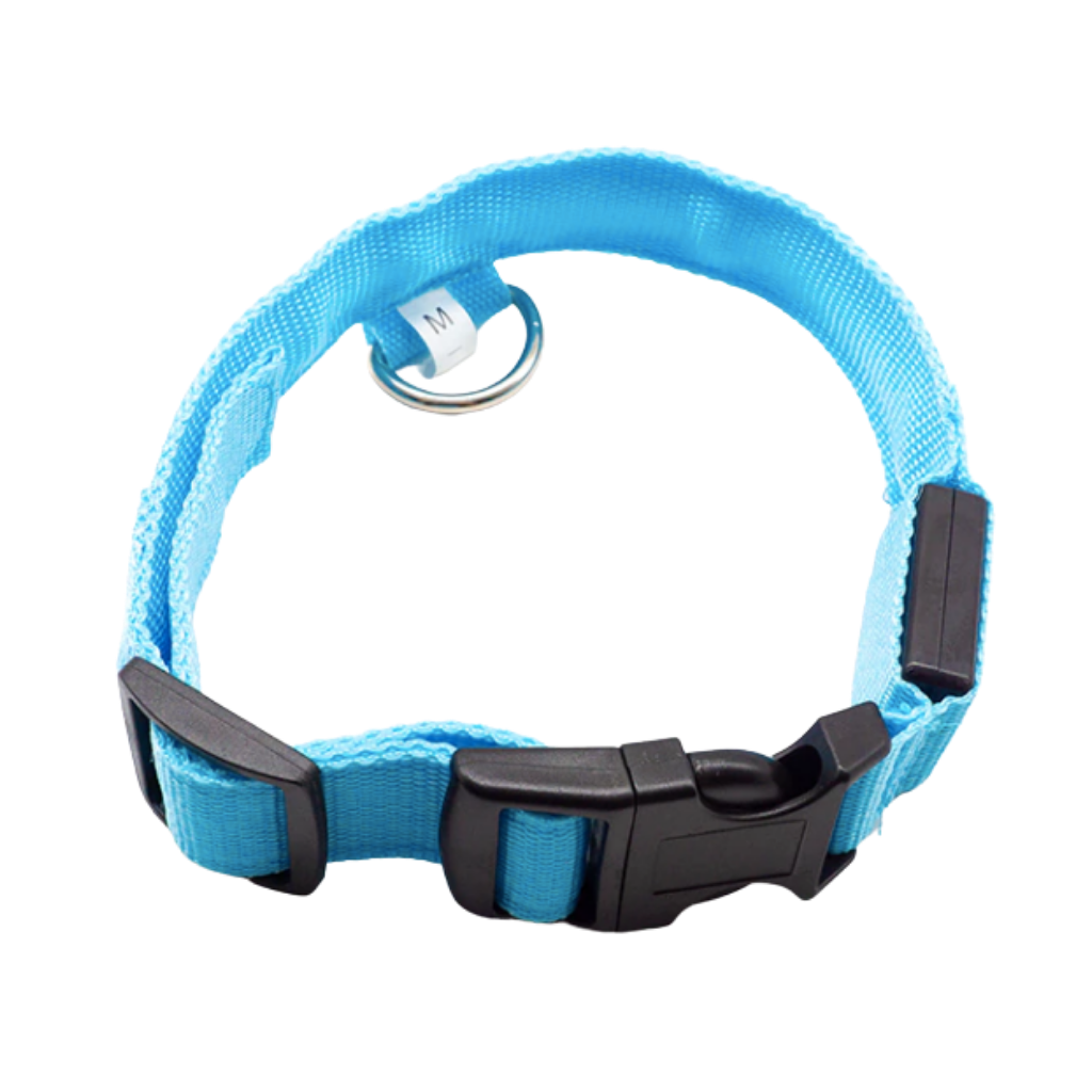 Collier lumineux pour animaux rechargeable par USB