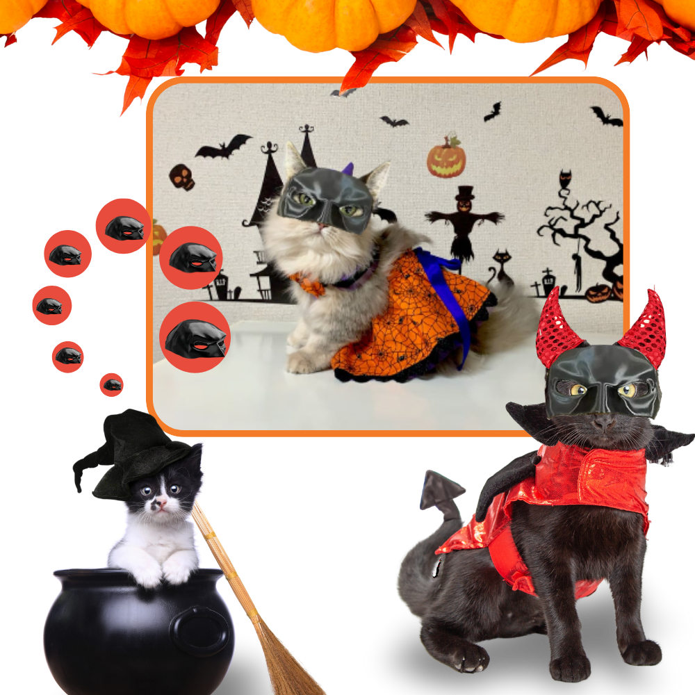 Irrésistible Masque Batman pour Chat