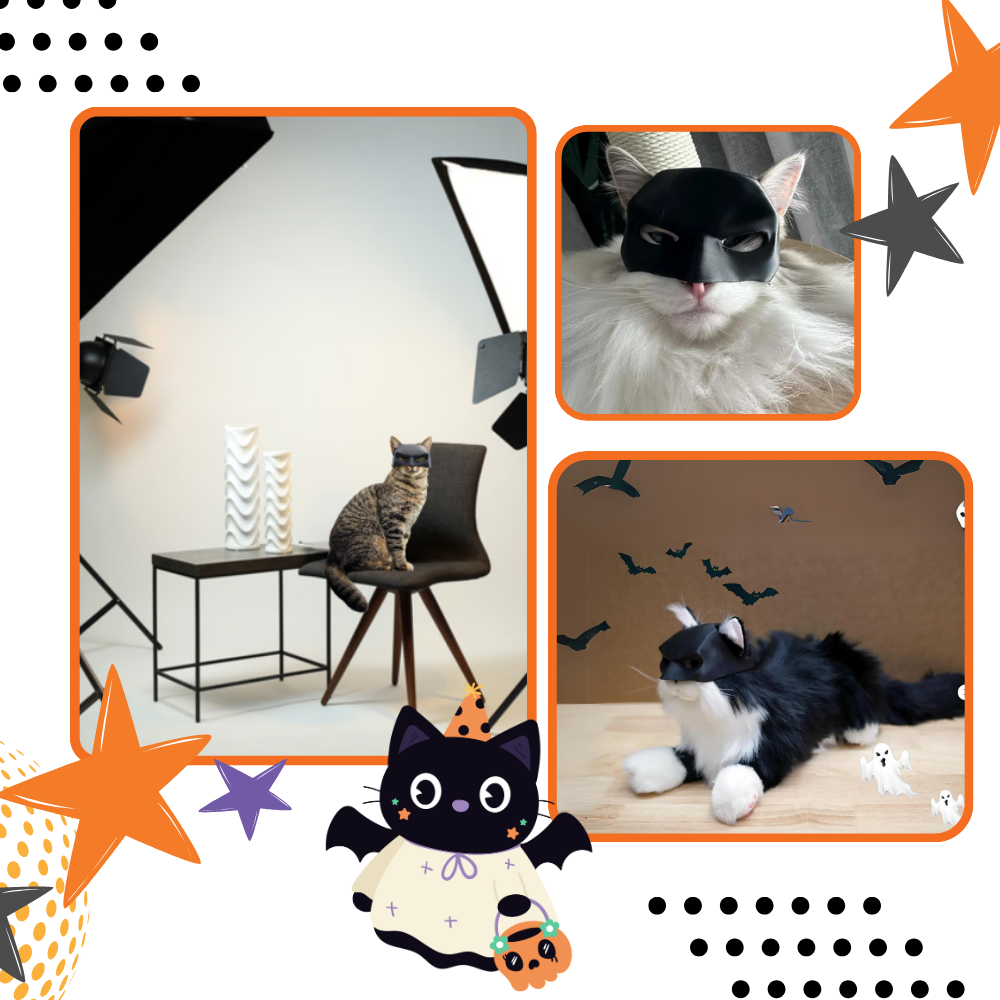 Irrésistible Masque Batman pour Chat