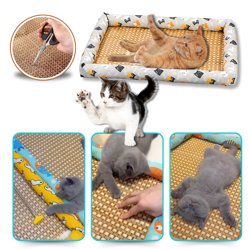 Tapis anti-dérapant et rafraîchissant pour animaux de compagnie