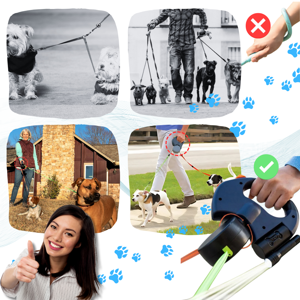Laisse rétractable anti-enroulement pour chien