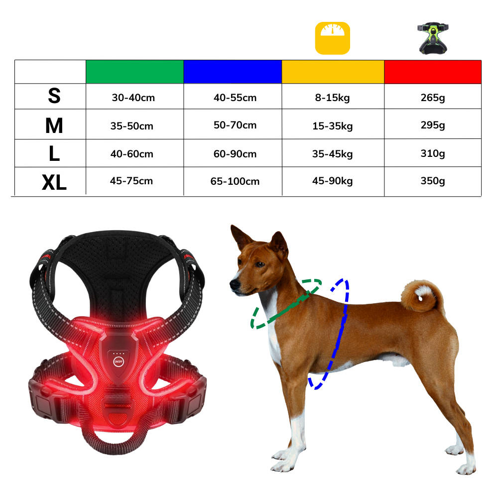 Harnais pour chien avec lumière LED clignotante