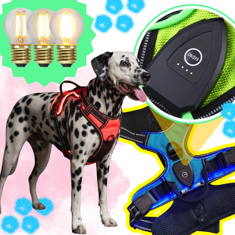 Harnais pour chien avec lumière LED clignotante