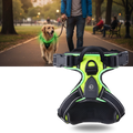 Harnais pour chien avec lumière LED clignotante