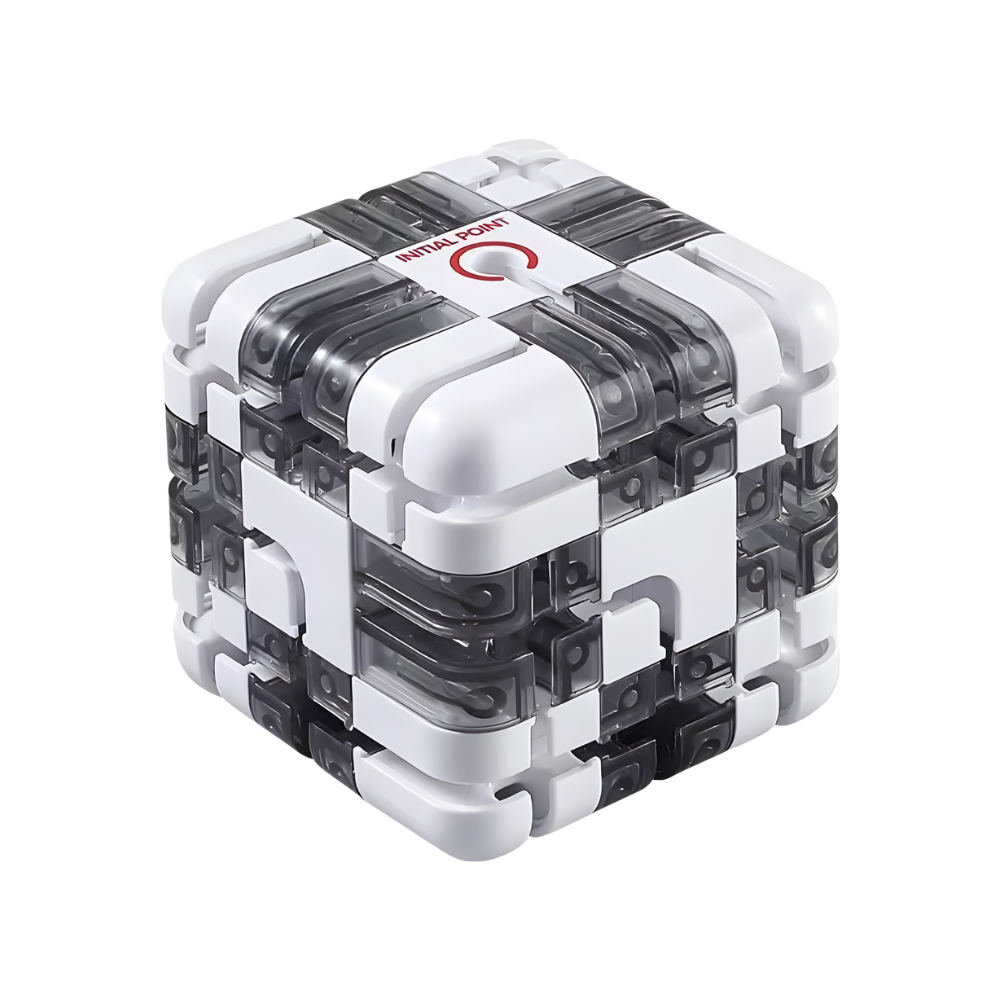 Cube labyrinthe Brain Builder puzzle 3D à bille