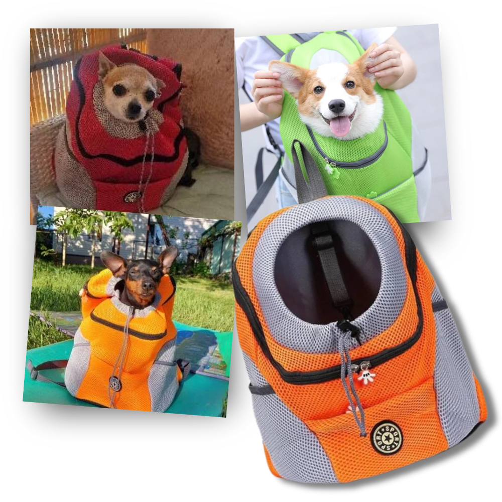 Sac à dos respirant de transport pour chien