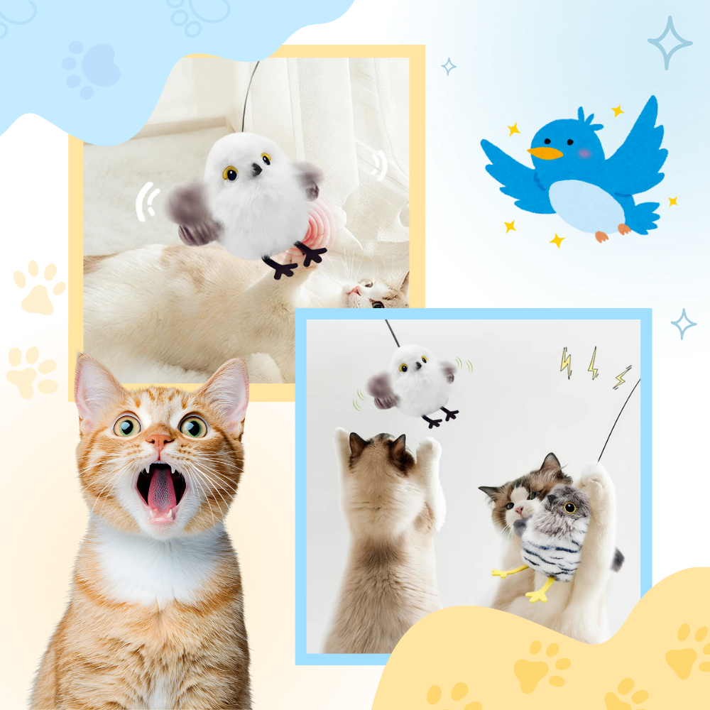 Jouet interactif oiseau pour chat