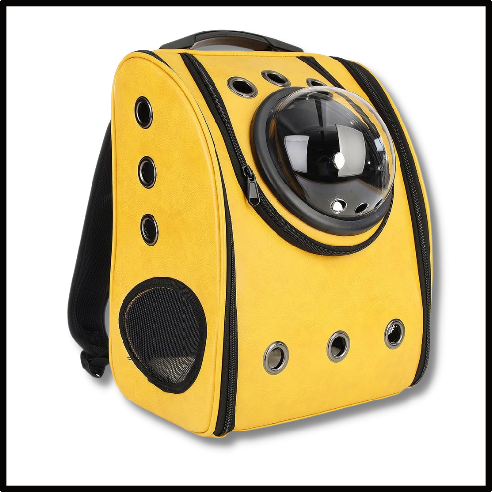 Sac à dos de voyage pour chats