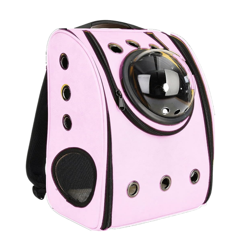 Sac à dos de voyage pour chats