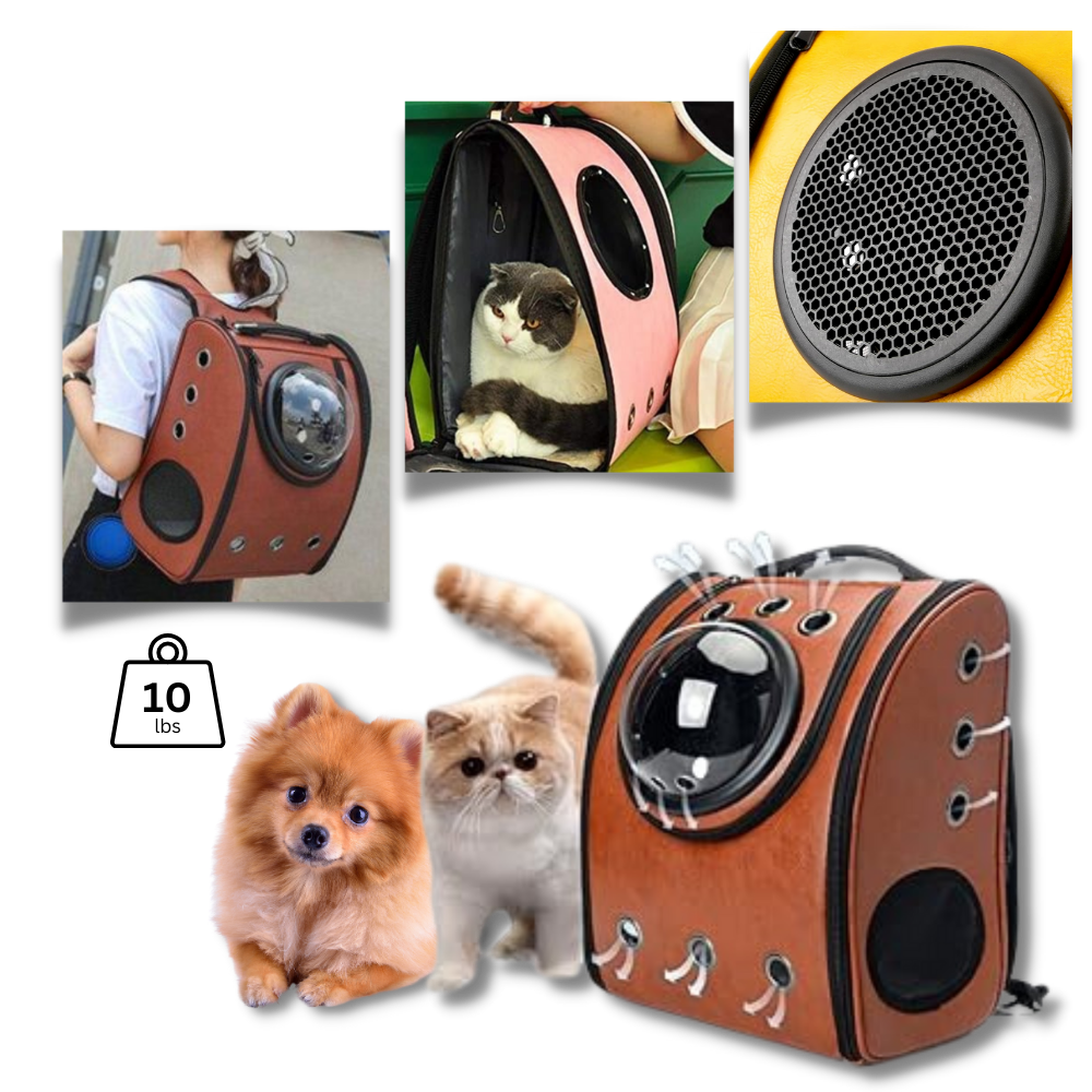 Sac à dos de voyage pour chats