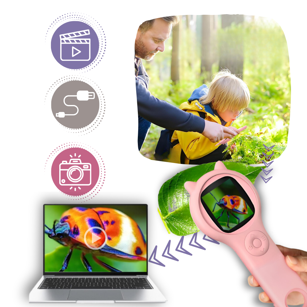 Microscope portable à visibilité optimale